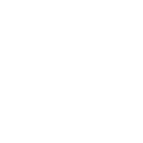 Levi Mist